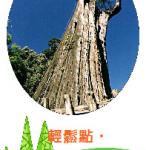 s13-4513-創意書千信陳彥廷.JPG