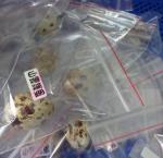 親職教育日--「護蛋體驗」前置作業