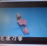 製作香皂康乃馨
