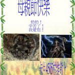 s05-4505-卡片4505柏維.JPG