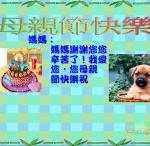 s21-4521-4521-慧臻.JPG