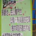 校園景觀介紹