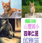 s19-4319-故事書4319雅筑.JPG