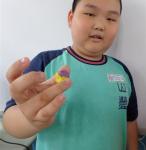 DSC06154