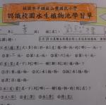 DSC05142.JPG