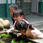 DSC05152.JPG
