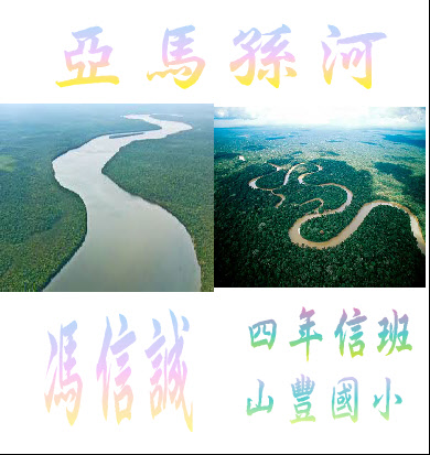 s03-4503-4503信誠-1.JPG