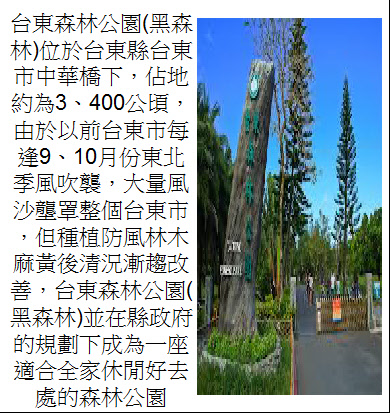 4525愛麗絲-2.JPG
