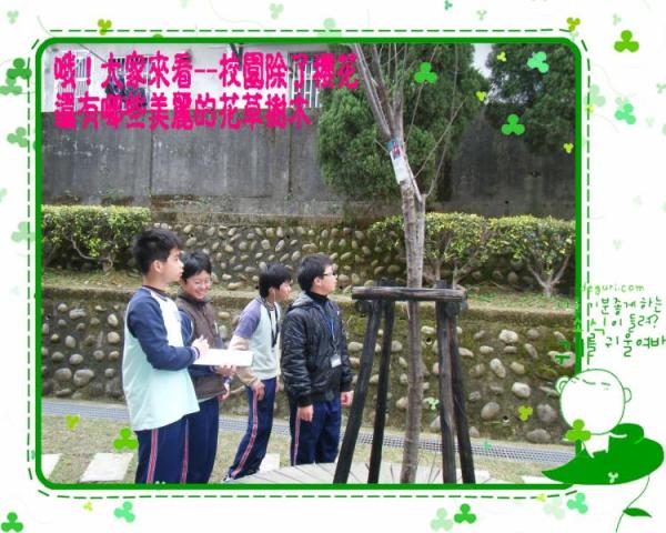 發現校園美麗的花草樹木
