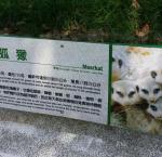 20150529_103240
