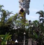 20150529_105437