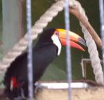 20150529_115126