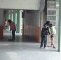 文化走廊上....升旗場邊認真工作的小朋友!!