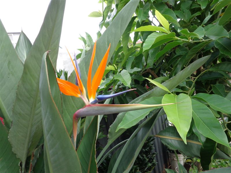 DSC03721