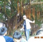 DSC00541