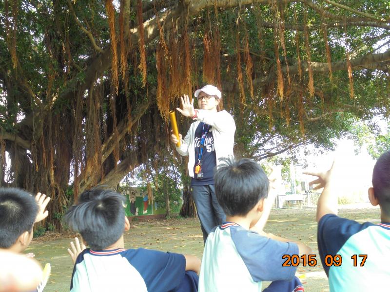 DSC00539