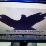 DSC00740.JPG