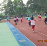 DSC00809