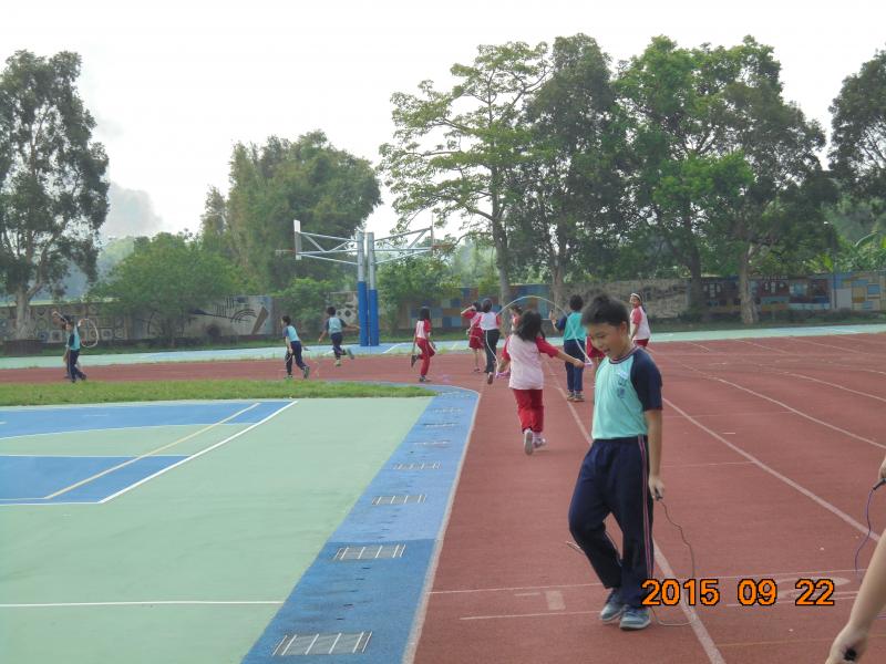 DSC00810