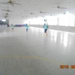 DSC01243.JPG