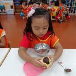 DSC00355.JPG