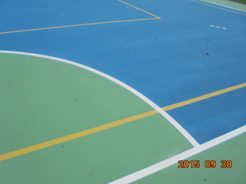 DSC01381.JPG
