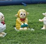 little sheep~
