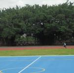 DSC02077