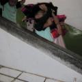 IMG_4468.JPG