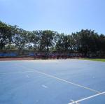 IMG_3920.JPG