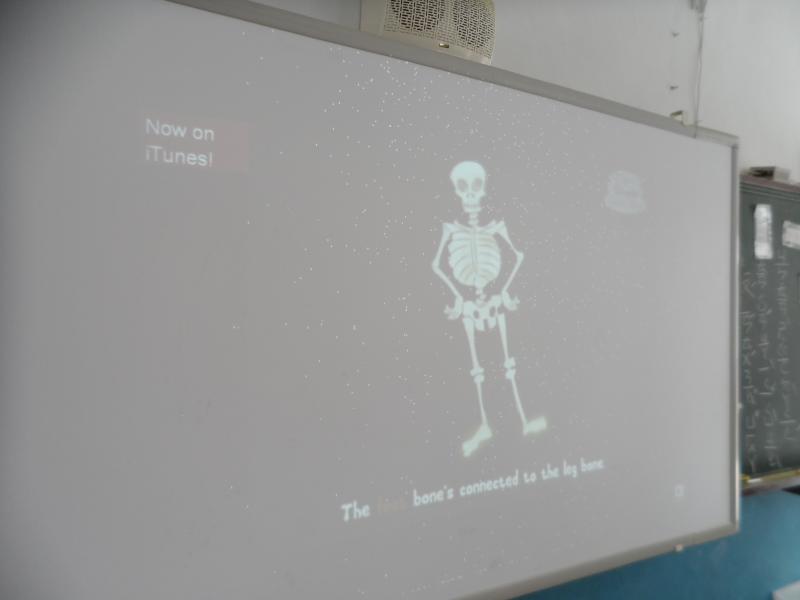 The Skeleton Dance