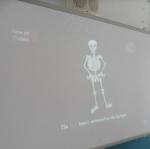The Skeleton Dance