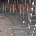 DSC00108.JPG