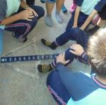 DSC03252.JPG