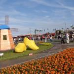 DSC03886